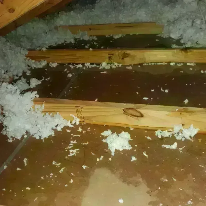 Attic Water Damage in Boonville, MO